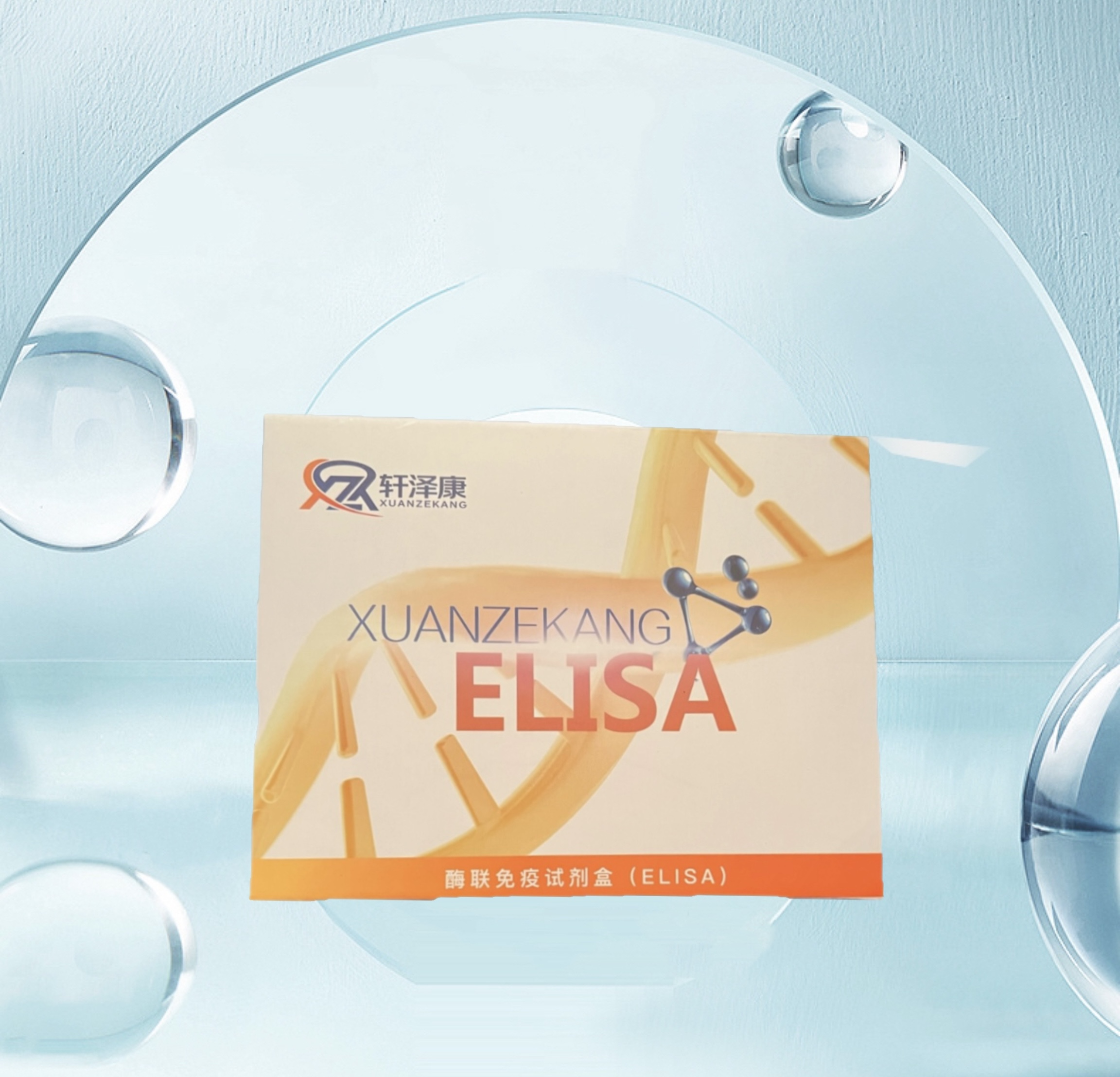 雞半胱氨酸蛋白酶9（Casp-9）ELISA檢測(cè)試劑盒