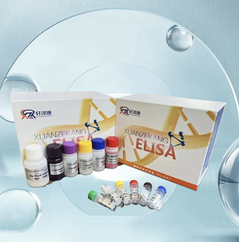 人P物質受體（SP-R）ELISA檢測試劑盒